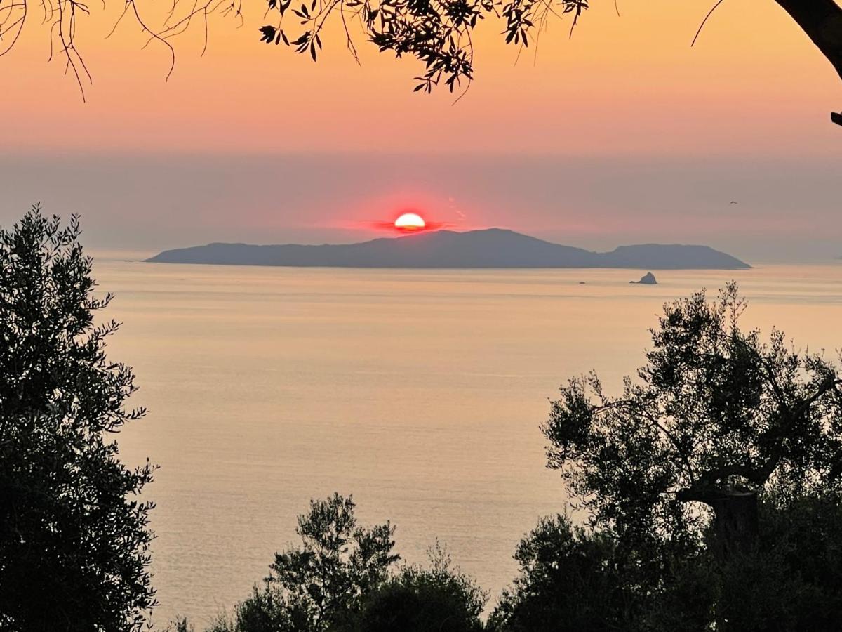 Arillas Hillside Villa 3 - Provence Екстериор снимка
